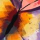 Mariposa-animals-Canvas artist painting EEUU New Jersey New York